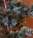 Rene Houtman Larix Boom | Large | Grijsgroen | H160 cm
