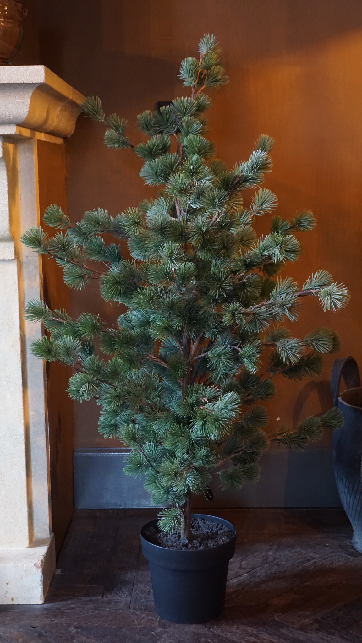 Rene Houtman Larix Boom | Medium | Grijsgroen | H130 cm