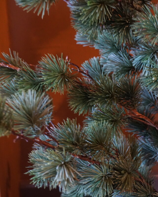 Rene Houtman Larix Boom | Medium | Grijsgroen | H130 cm