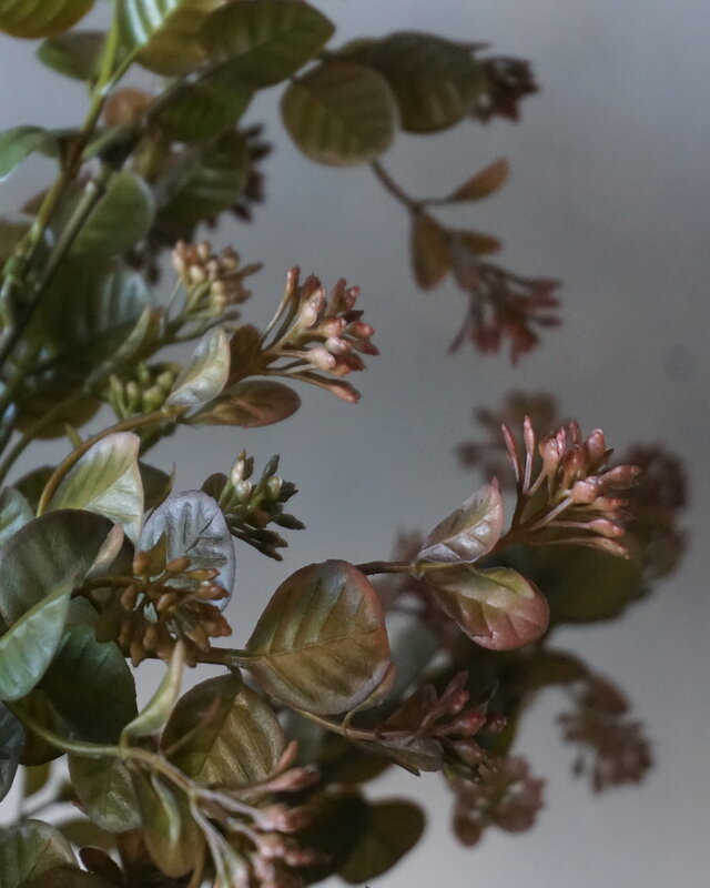Brynxz Myosotis Kunsttak | Bruin | 50 cm