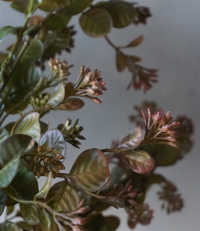 Brynxz Myosotis Kunsttak | Bruin | 50 cm