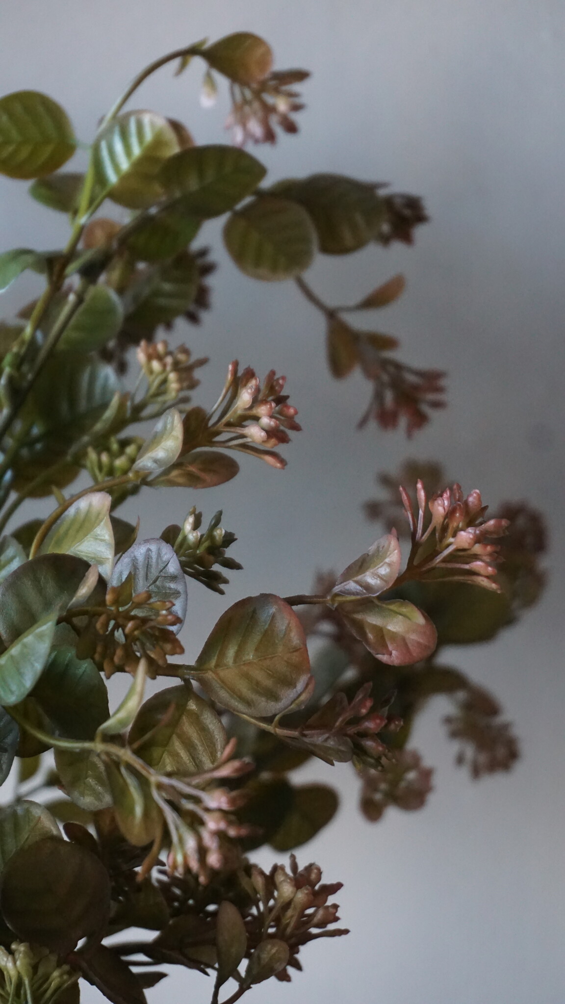 Brynxz Myosotis Kunsttak | Bruin | 50 cm