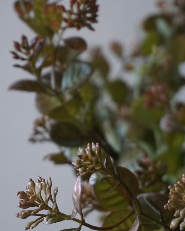 Brynxz Myosotis Kunsttak | Bruin | 50 cm
