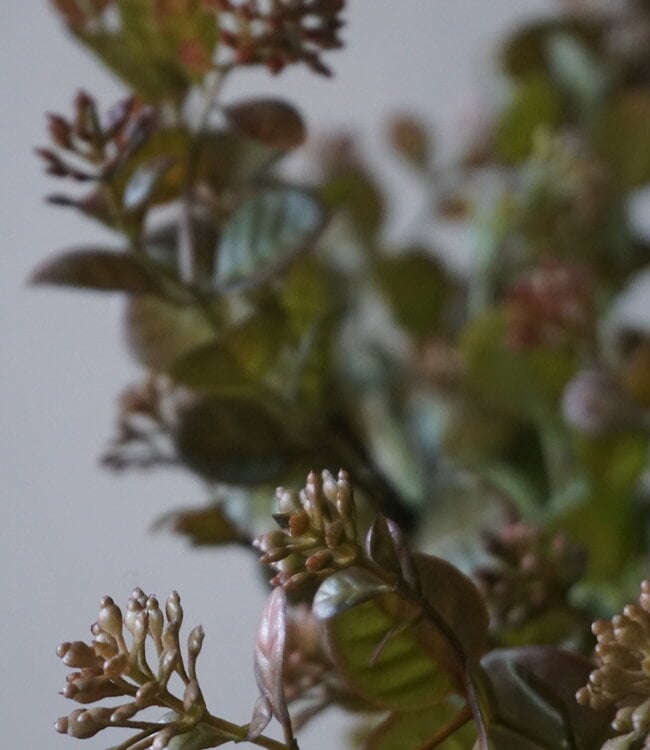 Brynxz Myosotis Kunsttak | Bruin | 50 cm