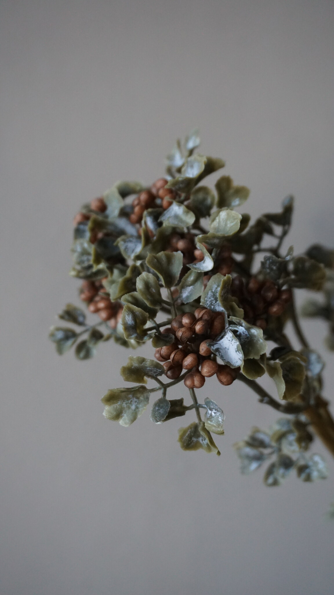 Brynxz Sedum Kunsttak | Wild Berry Bruin | H50 cm