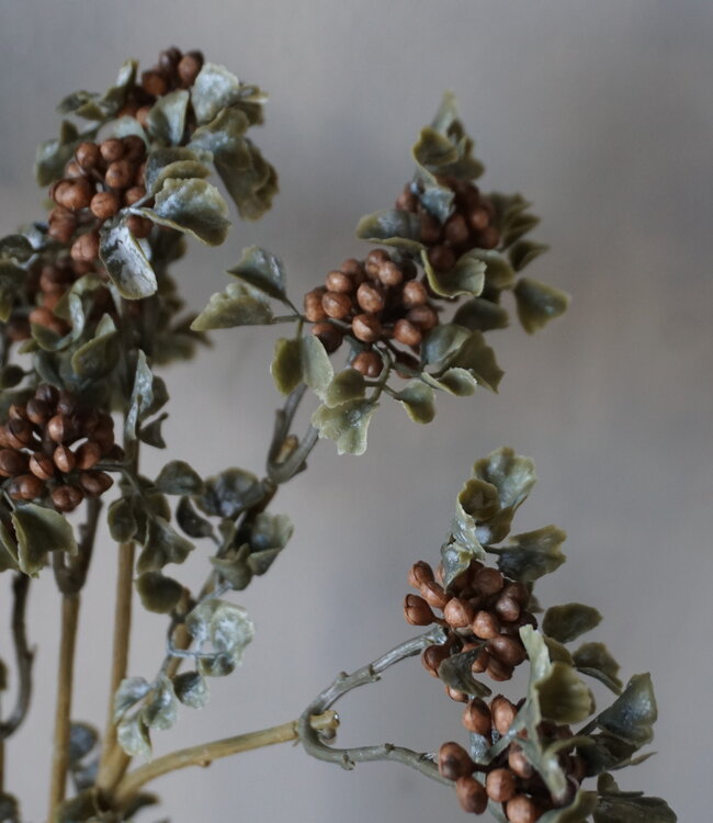 Brynxz Sedum Kunsttak | Wild Berry Bruin | H50 cm