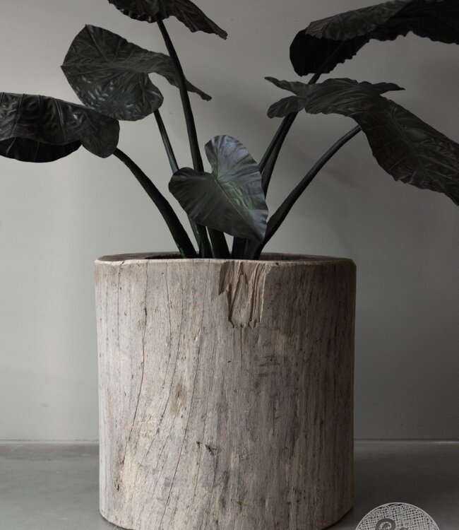 Be-Uniq Oude Boomstam Plantenbak | H66 x D67 cm