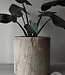 Be-Uniq Oude Boomstam Plantenbak | H66 x D67 cm