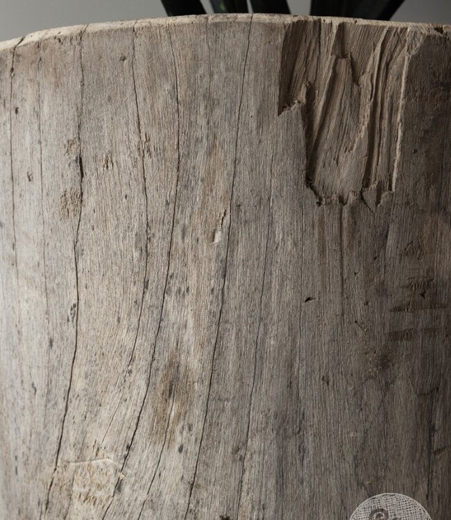 Be-Uniq Oude Boomstam Plantenbak | H66 x D67 cm