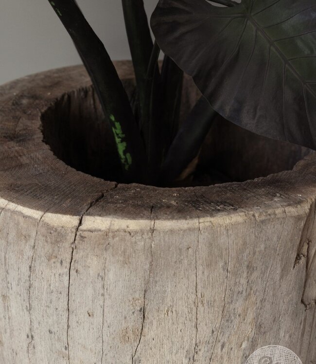 Be-Uniq Oude Boomstam Plantenbak | H66 x D67 cm