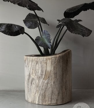 Be-Uniq Oude Boomstam Plantenbak | India | H66xD66 cm