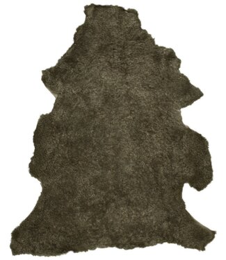 Van Buren Vachtenspecialist Kruising Schapenvacht Sahara