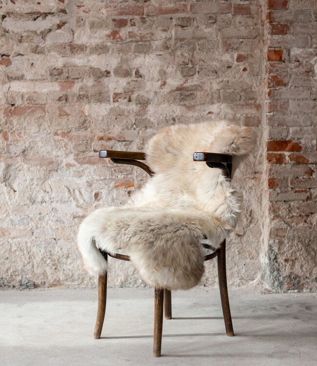 Van Buren Vachtenspecialist Schapenvacht Gemêleerd 90-100cm