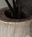 Be-Uniq Oude Boomstam Plantenbak | H66 x D67 cm
