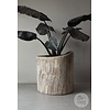 Oude Boomstam Plantenbak | India | H66 x D66 cm