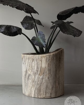 Be-Uniq Oude Boomstam Plantenbak | India | H66 x D66 cm