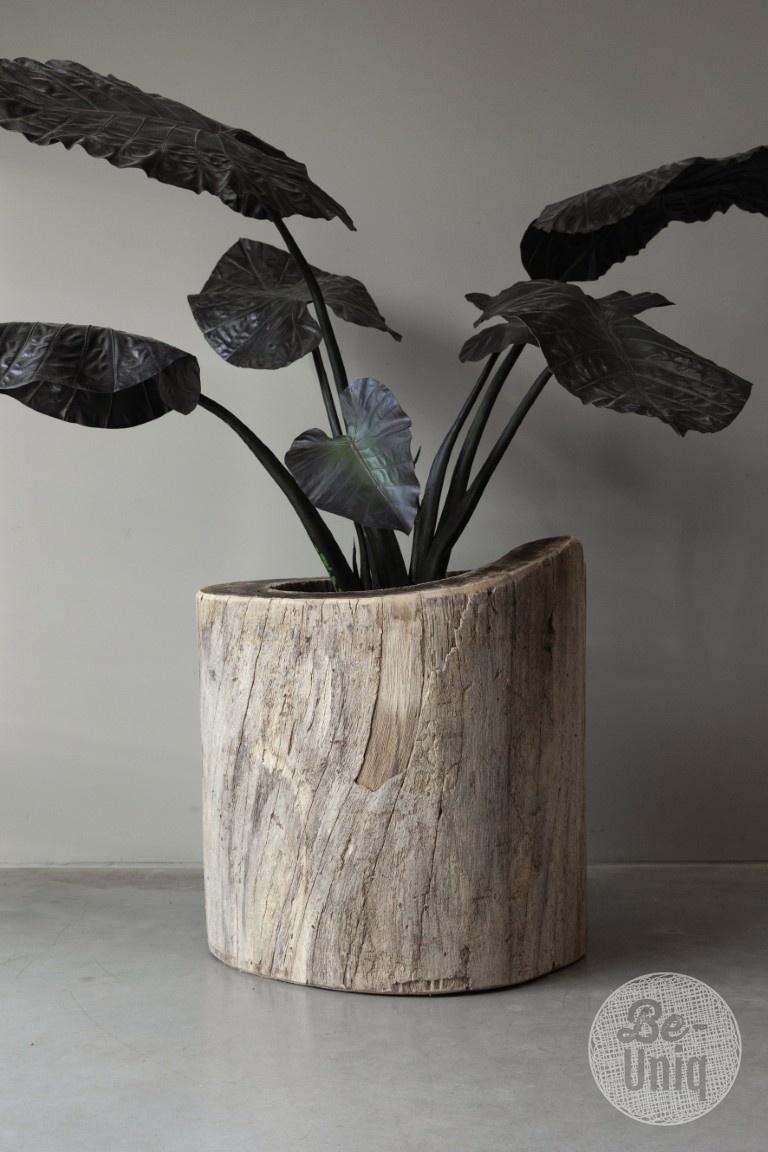 Be-Uniq Oude Boomstam Plantenbak | India | H66 x D66 cm
