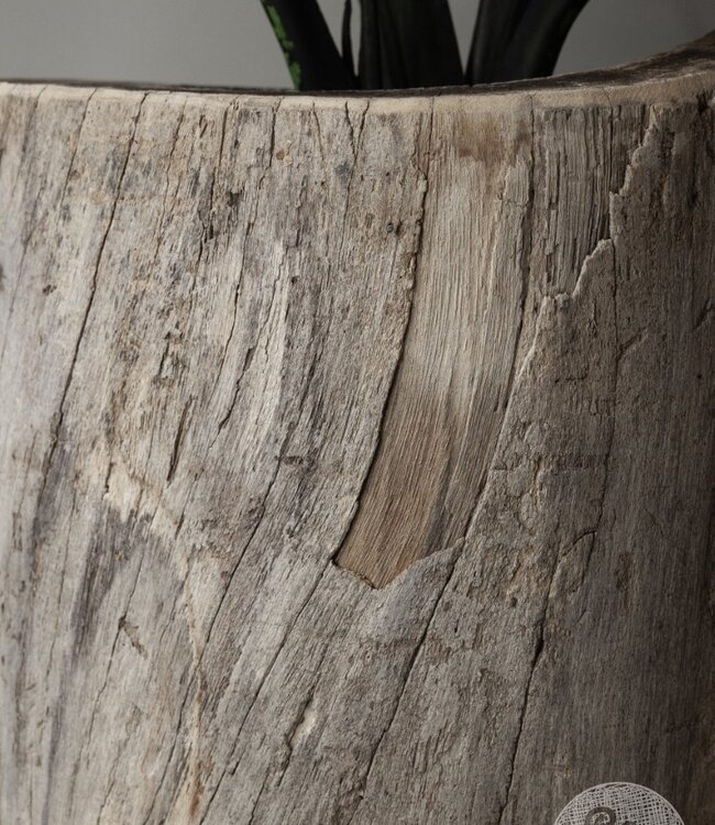 Be-Uniq Oude Boomstam Plantenbak | India | H66 x D66 cm
