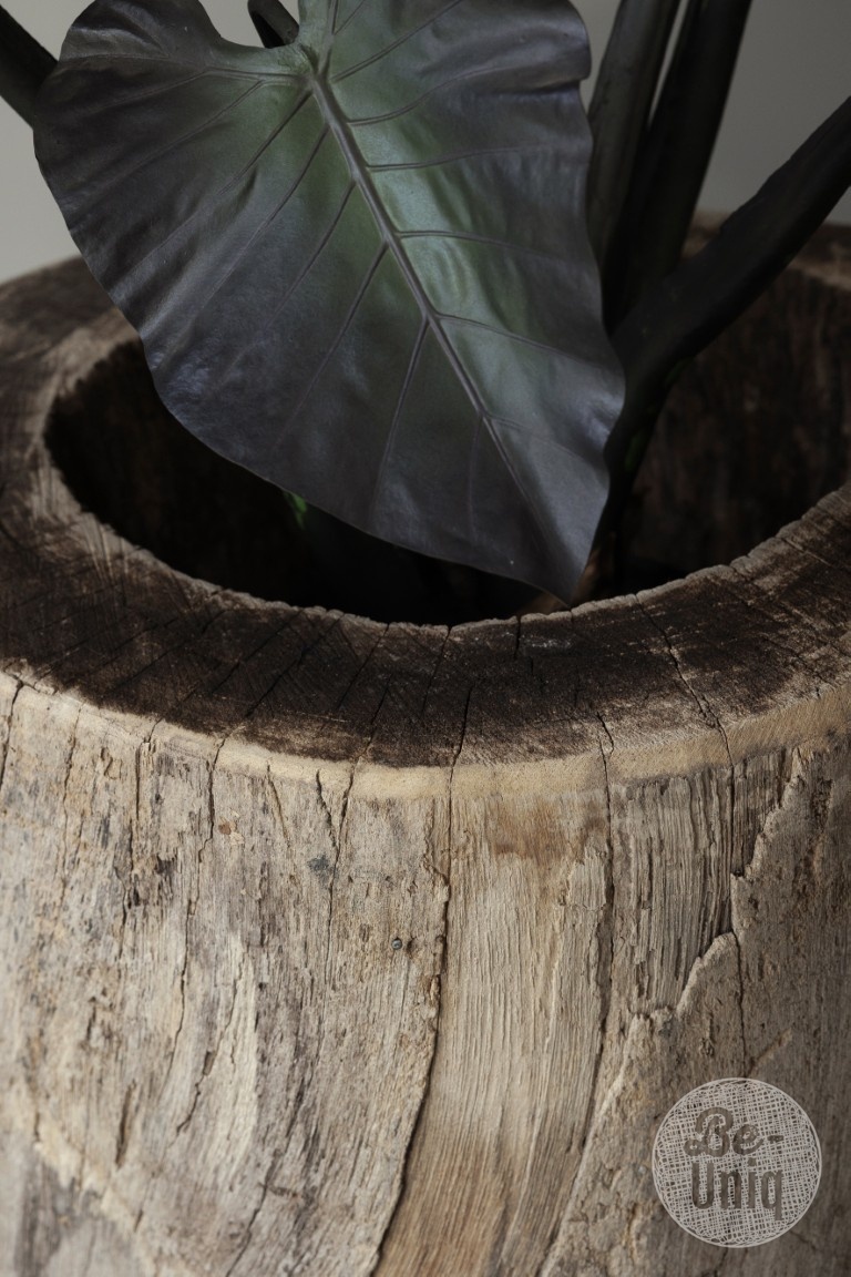Be-Uniq Oude Boomstam Plantenbak | India | H66 x D66 cm