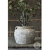 Village Pottery | 007 | Small | H25 x D32 cm