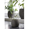 Pot Foss | Elephant Collection | Set Van 4 |  H13 x D16 cm