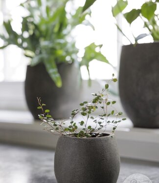 Be-Uniq Pot Foss | Elephant Collection | Set Van 4 |  H13 x D16 cm