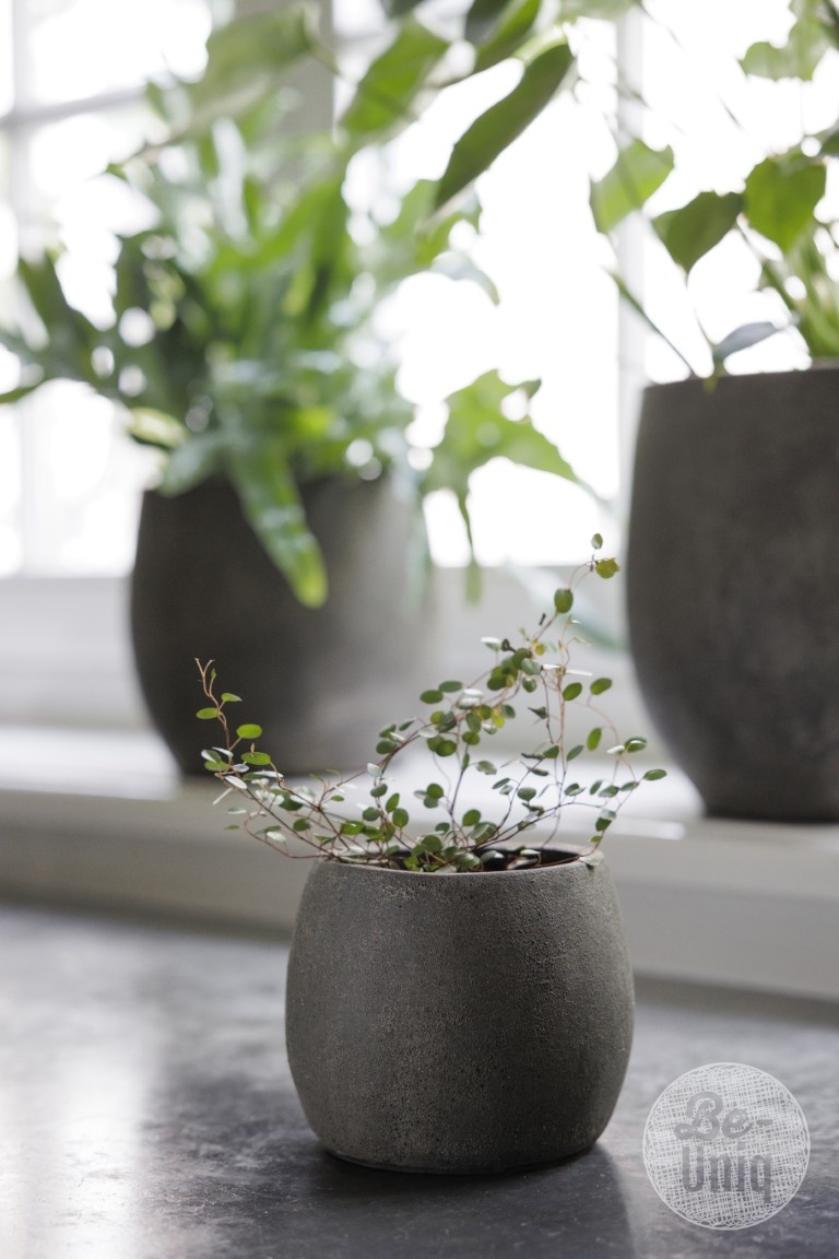 Be-Uniq Pot Foss | Elephant Collection | Set Van 4 | H13 x D16 cm