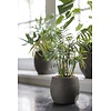 Pot Foss | Elephant Collection | Set Van 4 |  H15 x  D17 cm