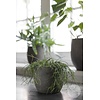 Pot Foss | Elephant Collection | Set Van 4 | H16 x D18 cm
