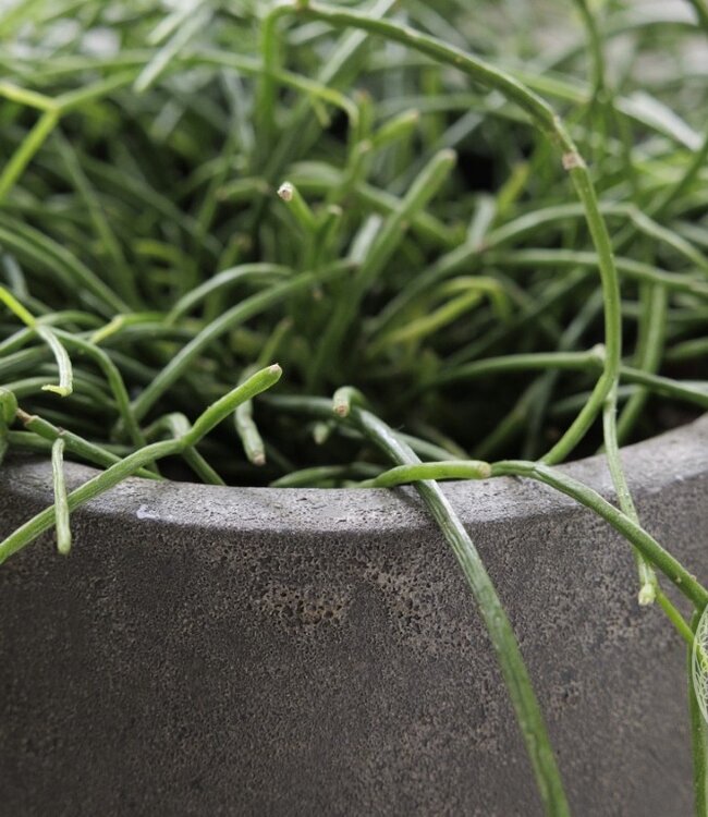 Be-Uniq Pot Foss | Elephant Collection | Set Van 4 | H16 x D18 cm