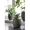 Pot Foss | Elephant Collection | Set Van 4 | H17 x D18 cm