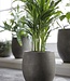 Be-Uniq Pot Foss | Elephant Collection | Set Van 4 | H19 x D20 cm