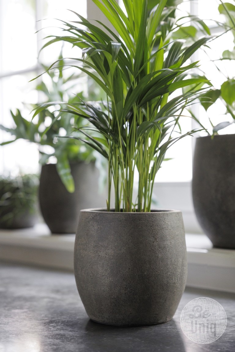 Be-Uniq Pot Foss | Elephant Collection | Set Van 4 | H19 x D20 cm
