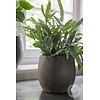 Pot Foss | Elephant Collection | Set Van 4 | H21 x D22 cm