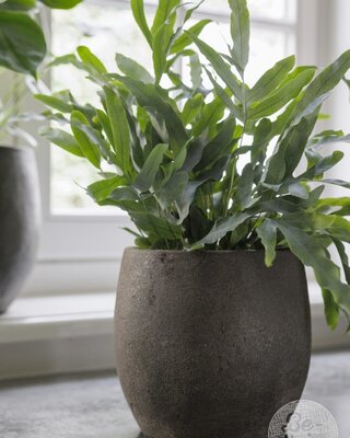 Be-Uniq Pot Foss | Elephant Collection | Set Van 4 | H21 x D22 cm