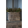 Vensterbank Mand | Rattan | H40 x B53 x D22 cm