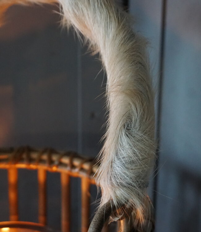 Rene Houtman Windlicht | Rotan | Geitenvacht | H20 x D20 cm