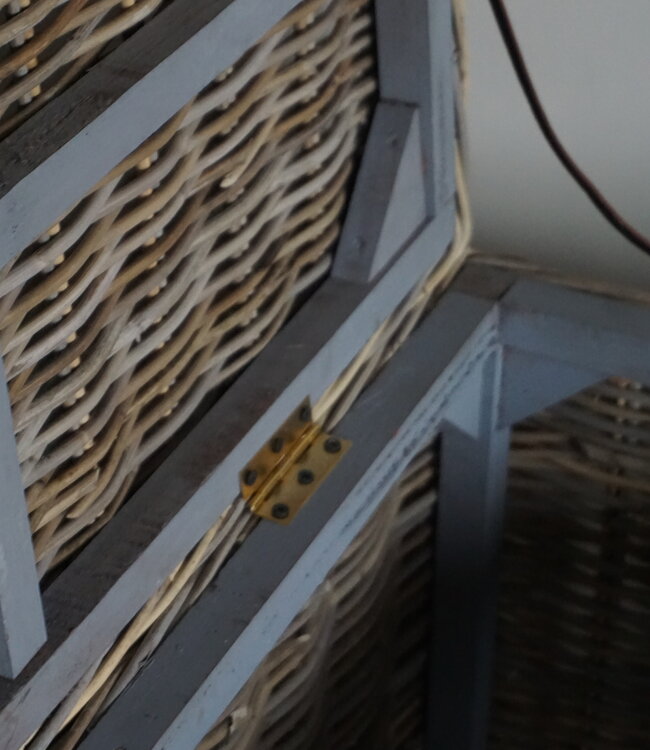 Rene Houtman Dekenkist/Salontafel XL | Rotan | H50 x B120 x D45 cm