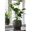 Pot Foss | Elephant Collection | Set Van 2 | H25 x D29 cm
