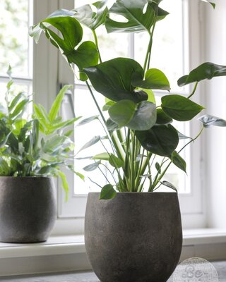 Be-Uniq Pot Foss | Elephant Collection | Set Van 2 | H25 x D29 cm