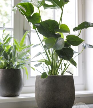 Be-Uniq Pot Foss | Elephant Collection | Set Van 2 | H25 x D29 cm