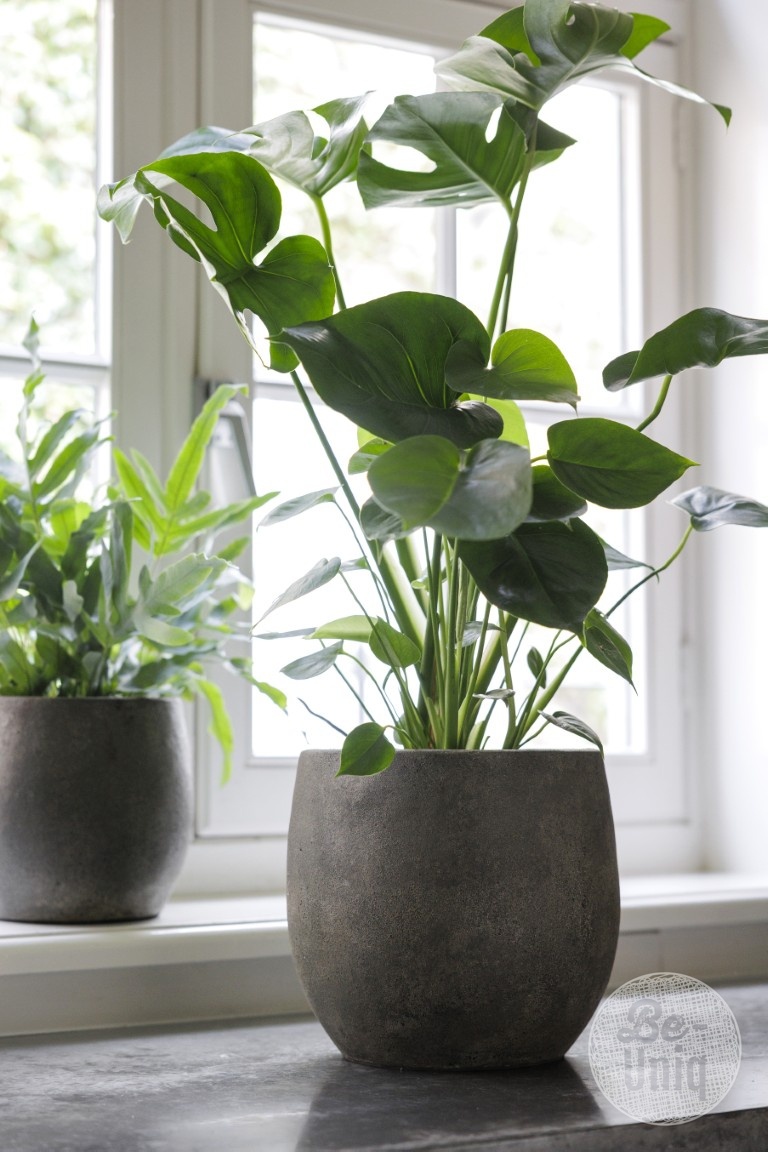 Be-Uniq Pot Foss | Elephant Collection | Set Van 2 | H25 x D29 cm