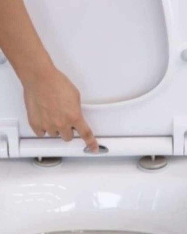 Wiesbaden Shade Slim Toiletzitting Softclose En Quick Release | Mat Wit