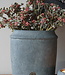 Brynxz Sedum Kunsttak Wild Berry | Roze | H55 cm