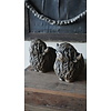 Set Van 2 Schotse Hooglanders | Majestic Brown