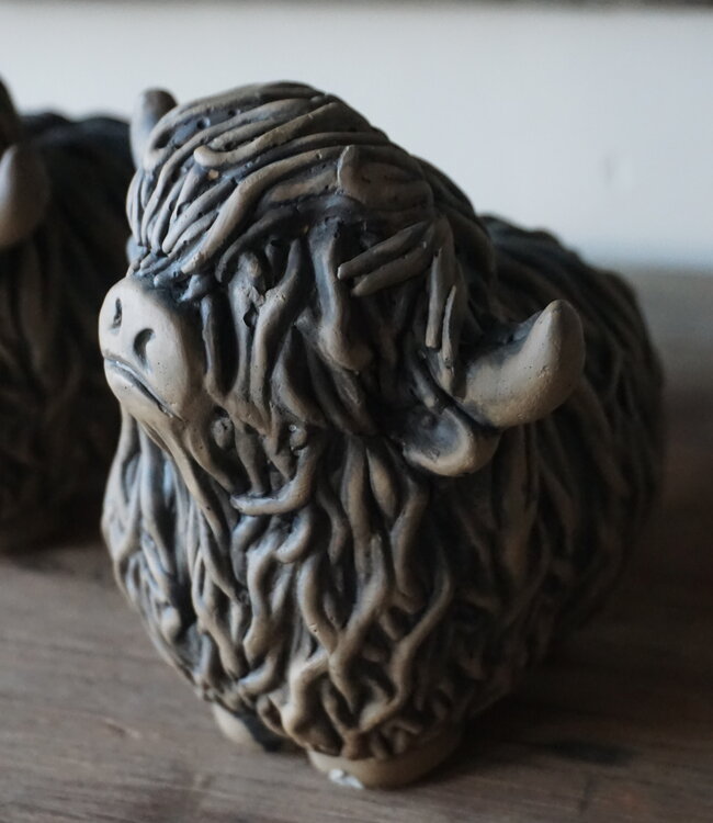 Brynxz Set Van 2 Schotse Hooglanders | Majestic Brown