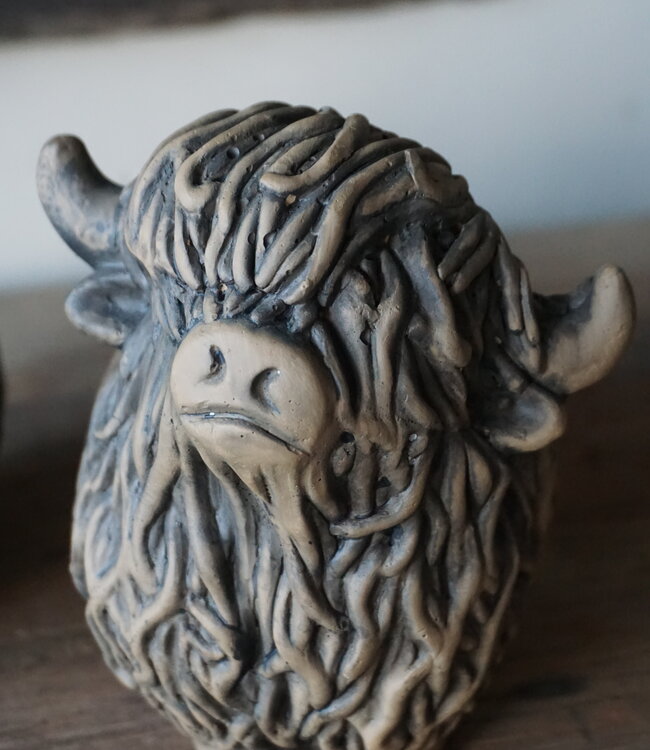 Brynxz Set Van 2 Schotse Hooglanders | Majestic Brown