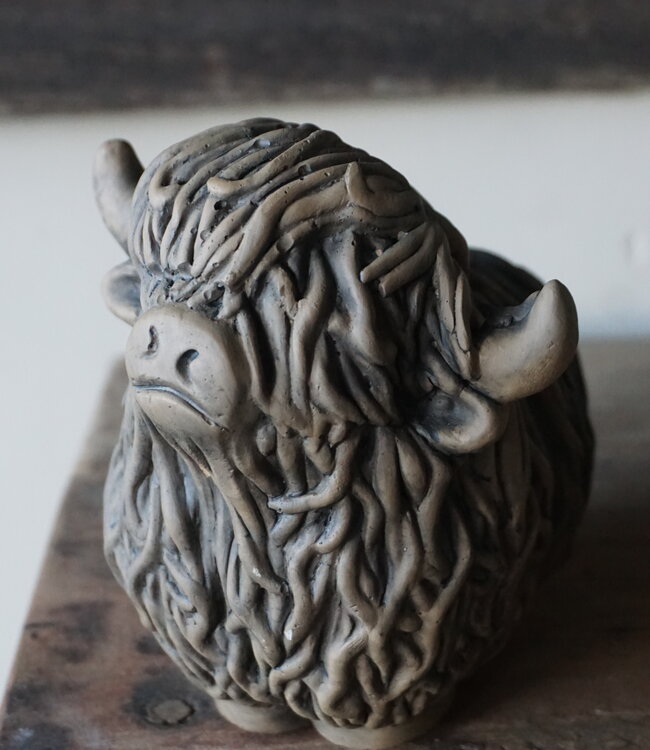 Brynxz Set Van 2 Schotse Hooglanders | Majestic Brown