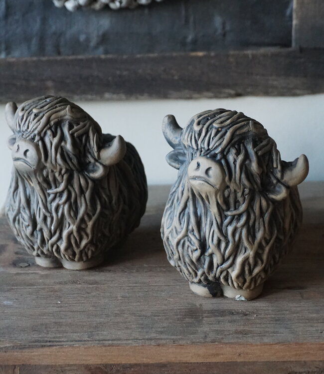 Brynxz Set Van 2 Schotse Hooglanders | Majestic Brown