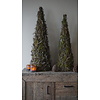 Kerstboom Mos Met Bonsai | Naturel | H120 cm